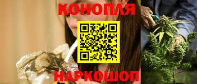 гашик Берёзовский