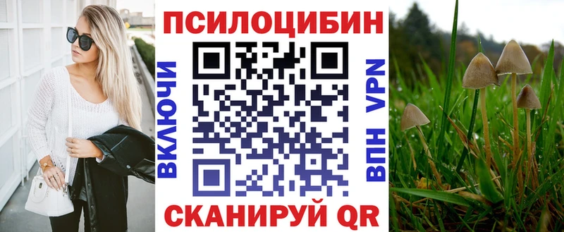 Псилоцибиновые грибы Magic Shrooms  blacksprut вход  Лыткарино 