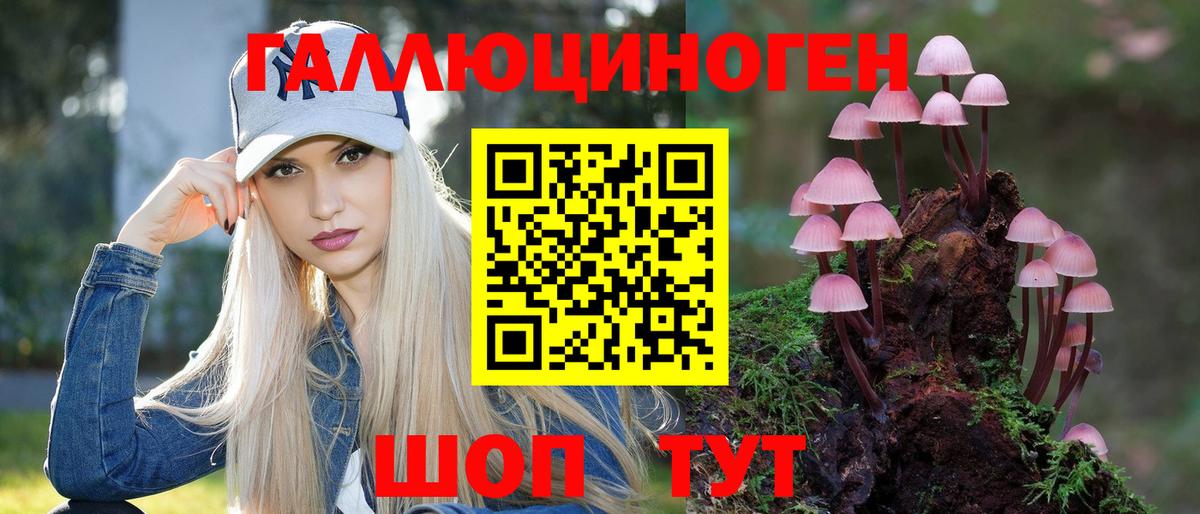 Лыткарино  Псилоцибиновые грибы Magic Shrooms  Вход с VPN 