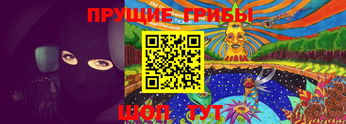 Псилоцибиновые грибы Psilocybine cubensis  Лыткарино 